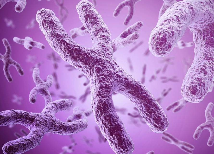 biomarkers of aging
