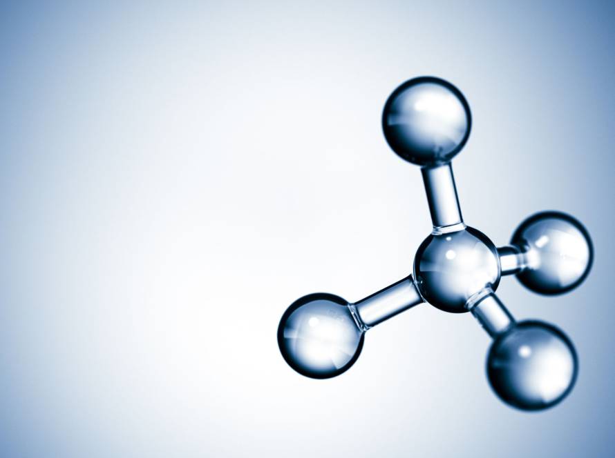 Spermidine