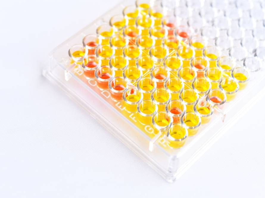 disabled macroautophagy