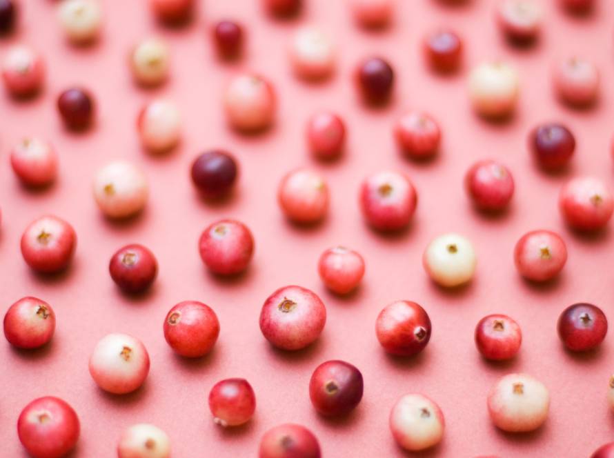 study cranberry extract gut microbiota