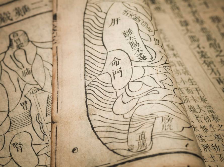 study traditional chinese medicine