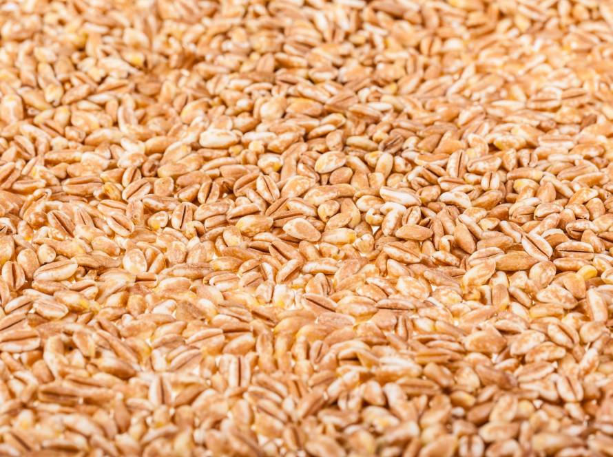 whole grains