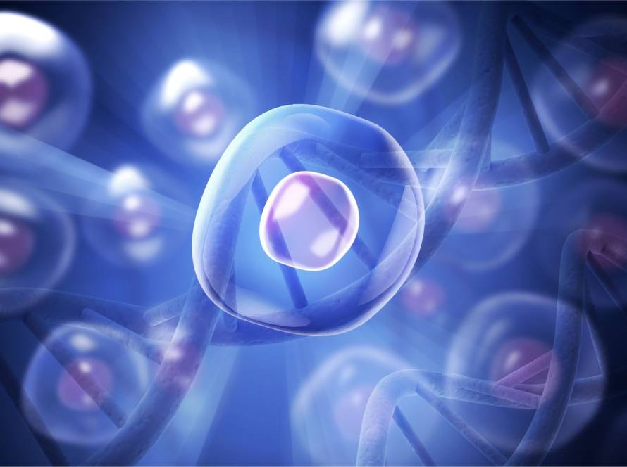 proteostasis and aging