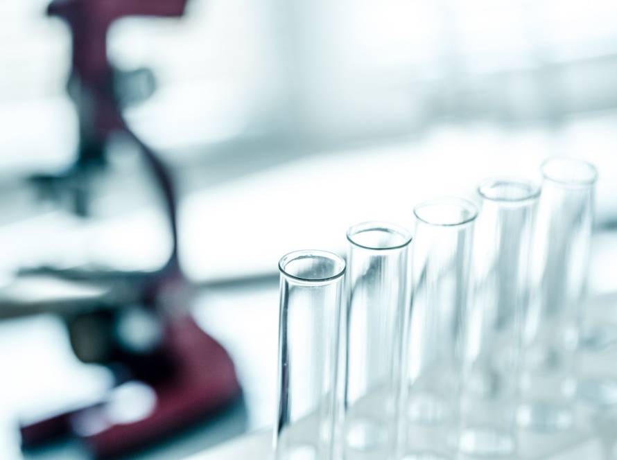 study metformin decelerates aging clock
