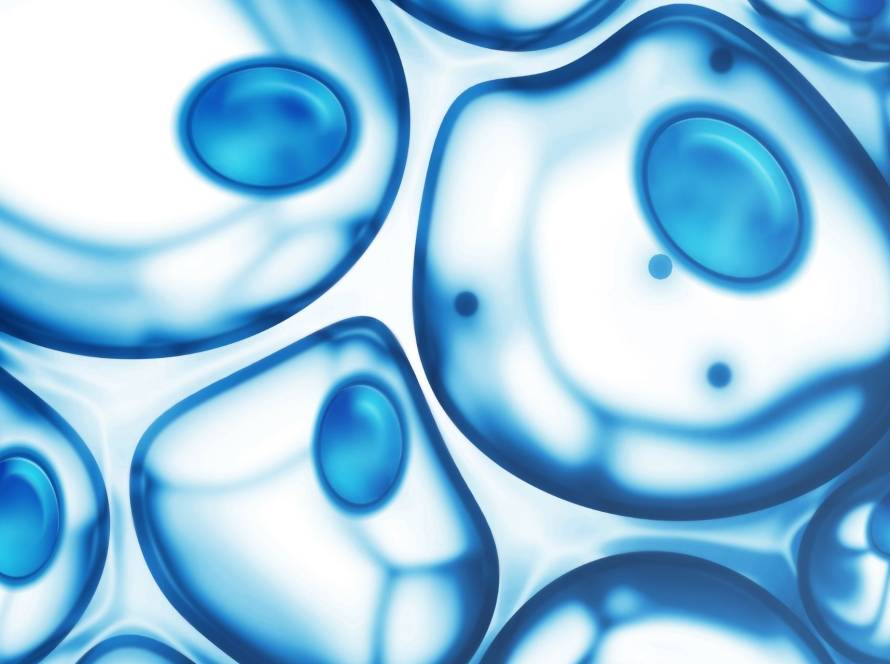 are epigenetic changes reversible