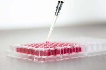 Cellular reprogramming: the future of medicine