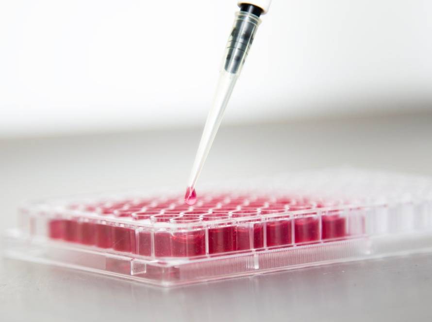 cellular reprogramming