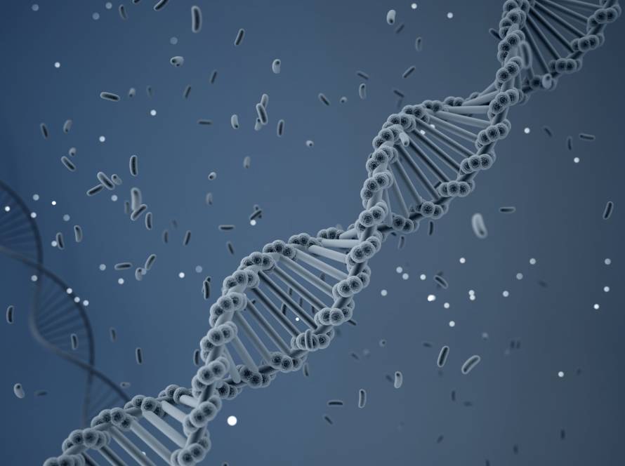 difference between genome epigenome