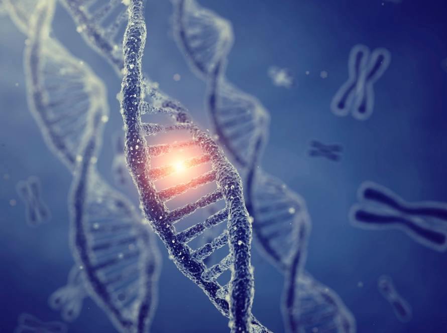 how to keep telomeres long