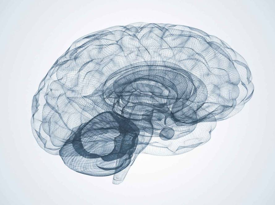 lutein zeaxanthin brain health