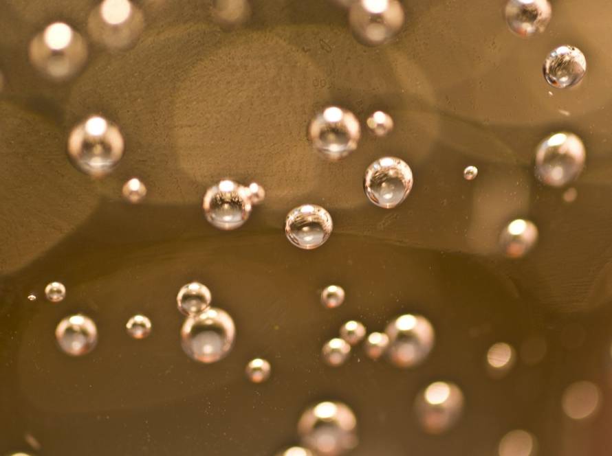 study exosomes in aging