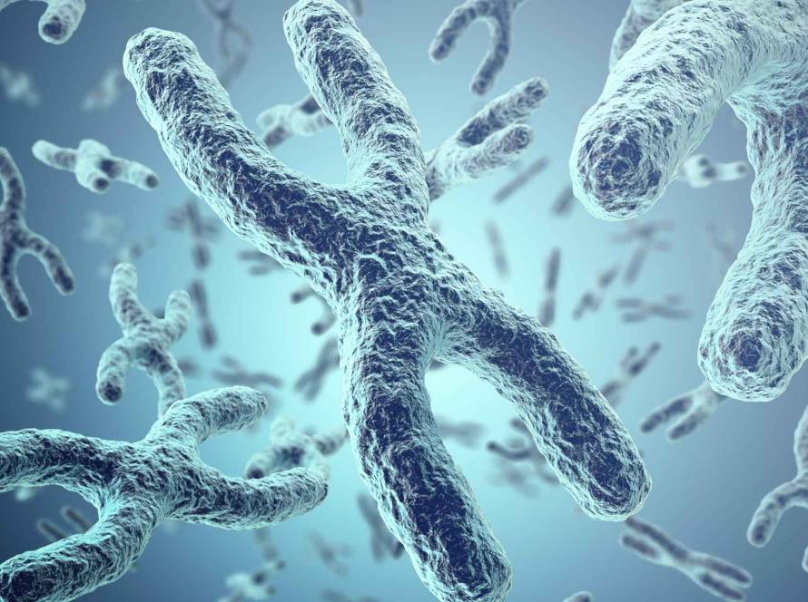 what best supplements telomeres