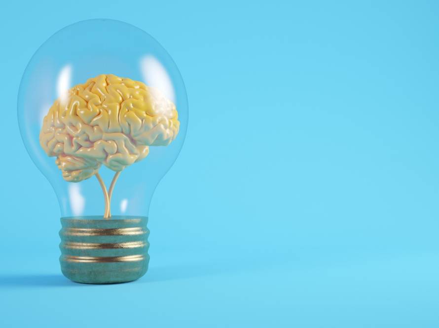 does brain plasticity decrease with age