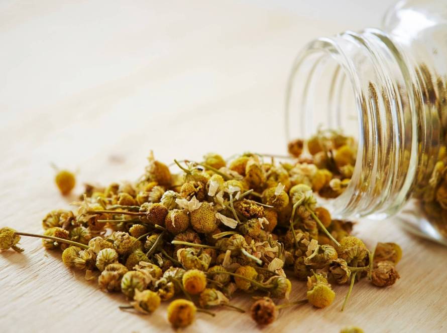 how much apigenin chamomile tea