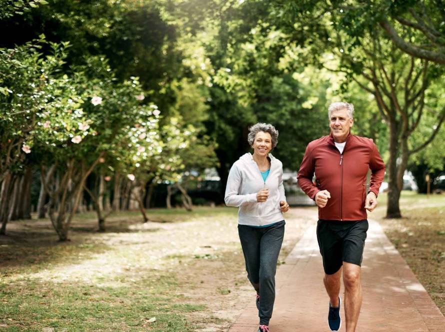 healthspan lifespan