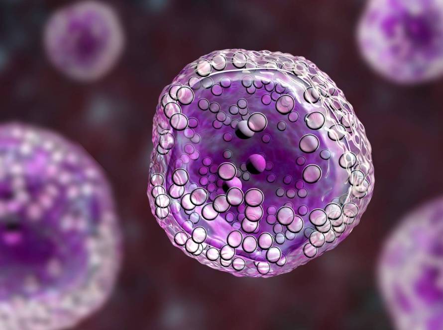 aging and cells