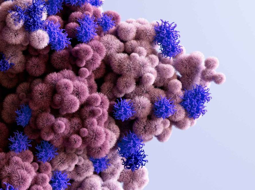 protein homeostasis