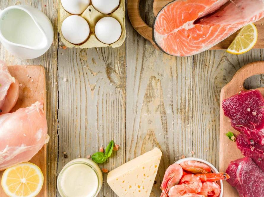 which source of protein is better for longevity