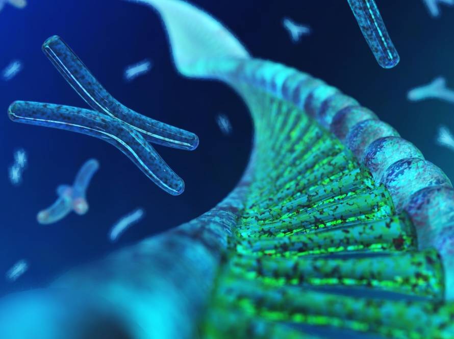 how does telomerase affect aging