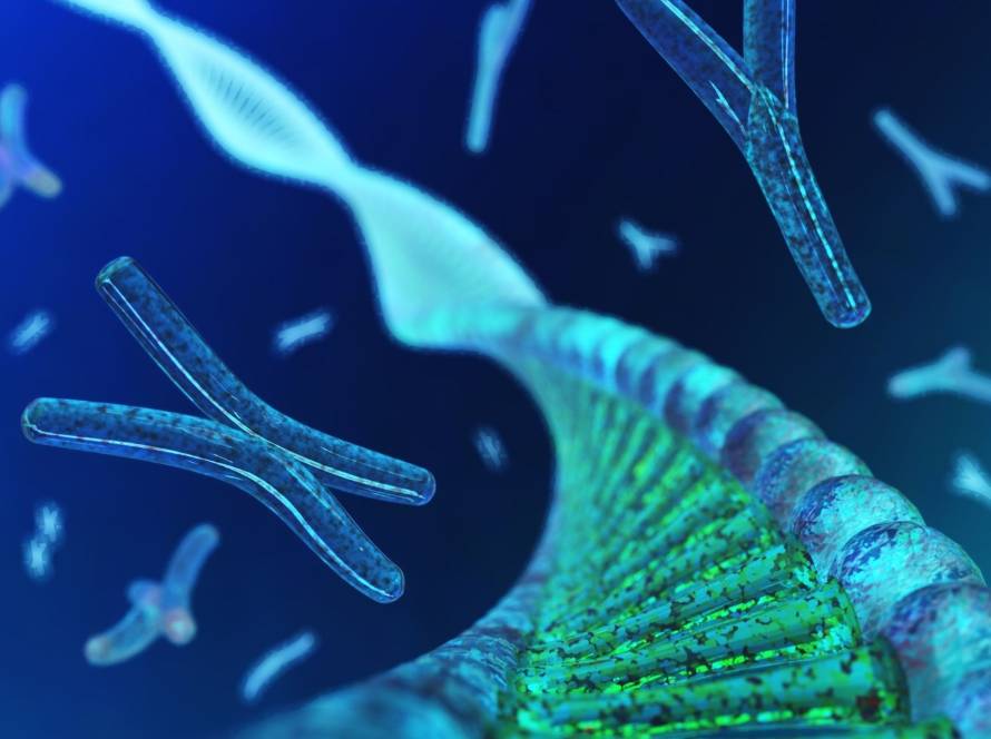 telomere attrition