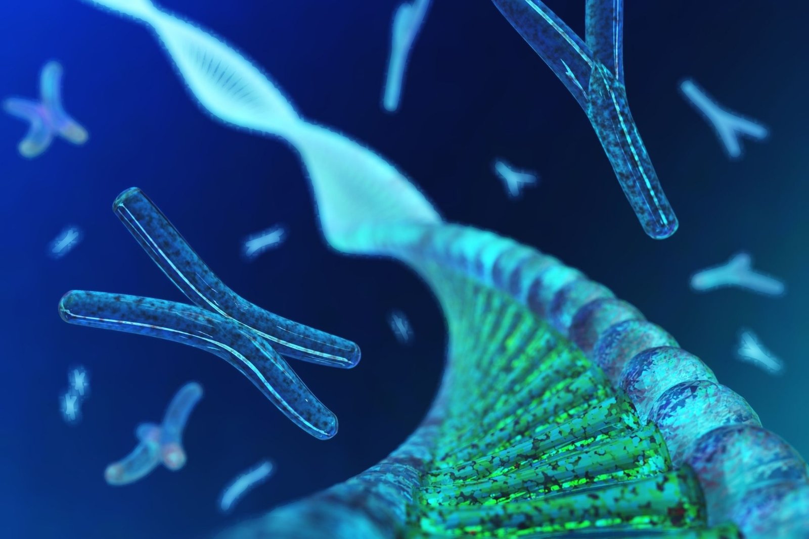 Picture Idea: Why Telomere Attrition Matters In Aging