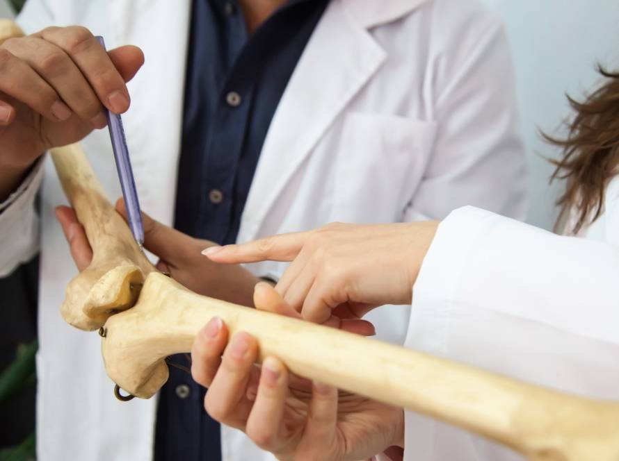 what is osteocalcin