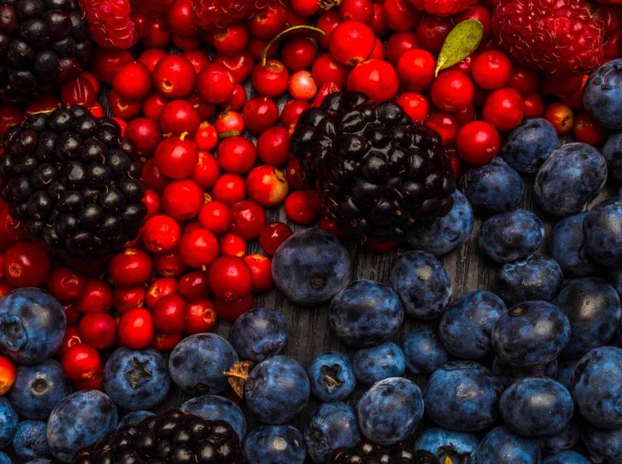 what are the benefits of resveratrol