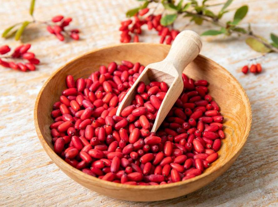 can berberine lower blood sugar