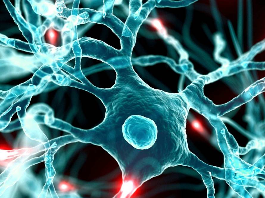 cellular senescence and aging