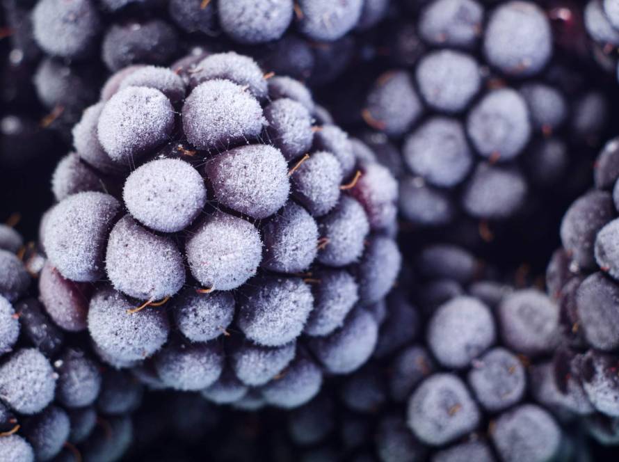 where to get antioxidants
